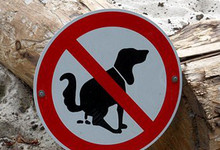 Verunreinigung durch Hunde auf öffentlichen Plätzen und Spielplätzen