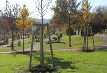 Friedhof Waldstetten: Grabpflege - Stand 29. Juni 2023